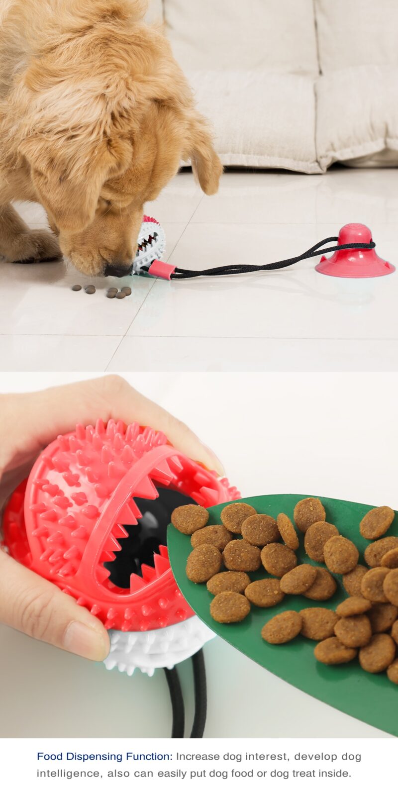 Žvýkací míč – hračka na čištění zubů Domácí mazlíčci 2