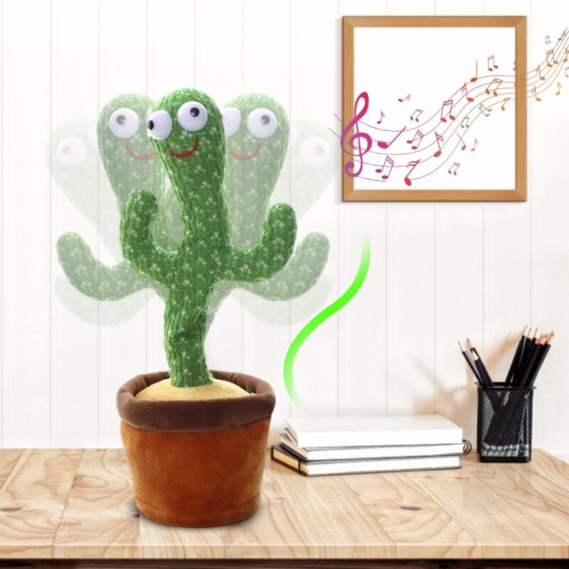 Tančící kaktus HRY 6
