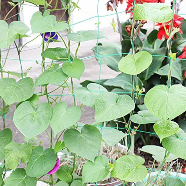 Zahradní nylonová síťovina pro rostliny Domácnost a zahrada 2