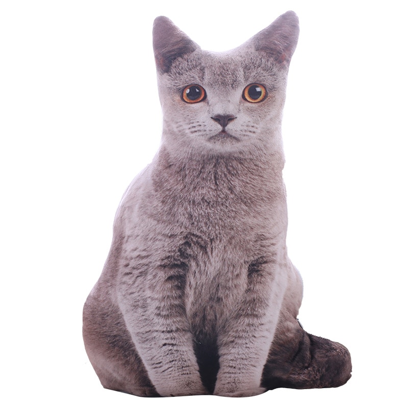 Kočičí 3D potah na polštář