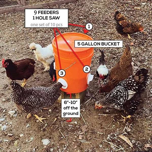 (🔥 NEW-50% OFF)DIY Chicken Feeder MIX 5